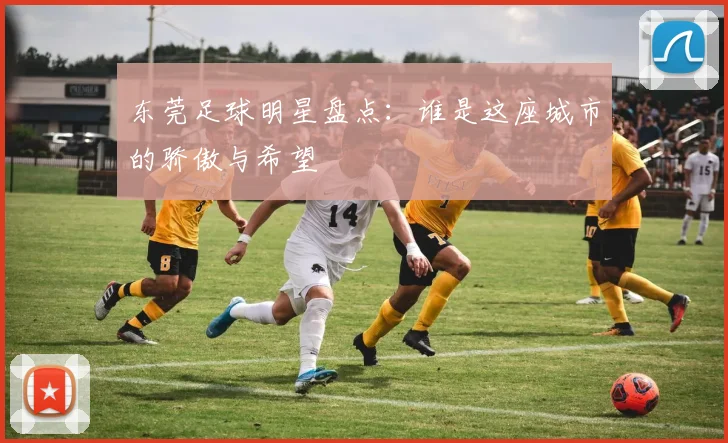 东莞足球明星盘点：谁是这座城市的骄傲与希望