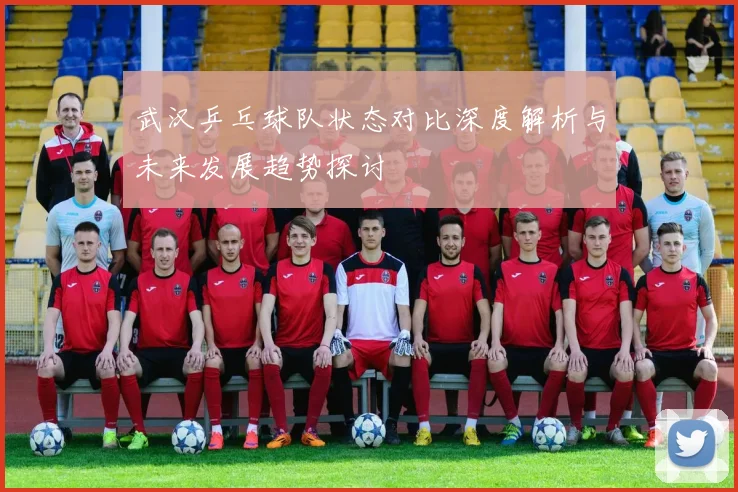武汉乒乓球队状态对比深度解析与未来发展趋势探讨