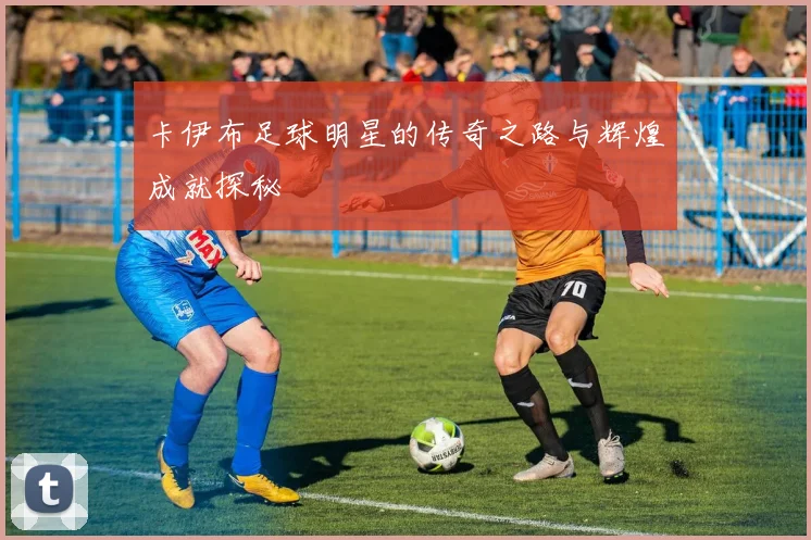 卡伊布足球明星的传奇之路与辉煌成就探秘