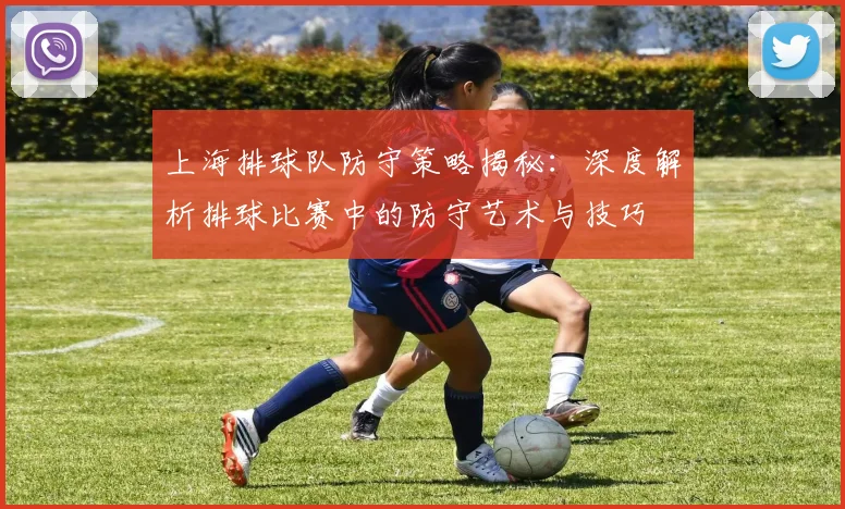 上海排球队防守策略揭秘：深度解析排球比赛中的防守艺术与技巧