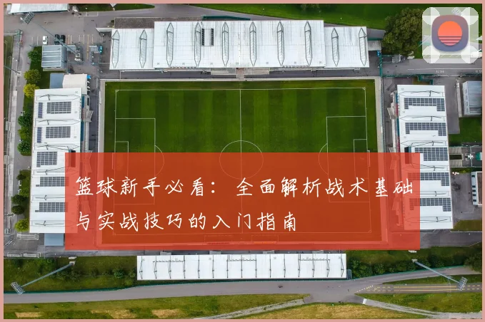 篮球新手必看：全面解析战术基础与实战技巧的入门指南