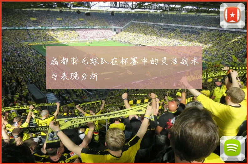 成都羽毛球队在杯赛中的灵活战术与表现分析