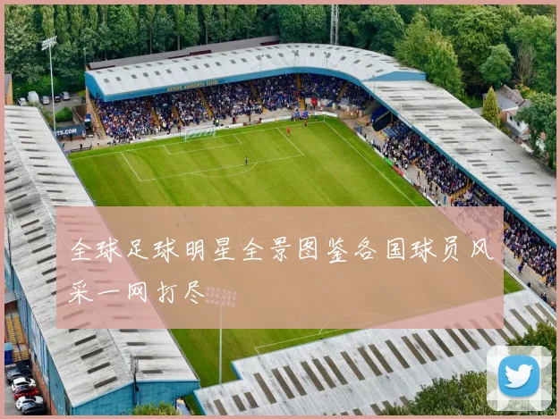 全球足球明星全景图鉴各国球员风采一网打尽