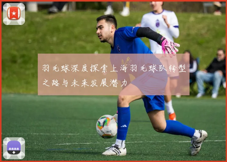 羽毛球深度探索上海羽毛球队转型之路与未来发展潜力