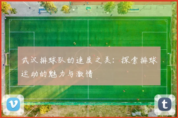 武汉排球队的速度之美：探索排球运动的魅力与激情