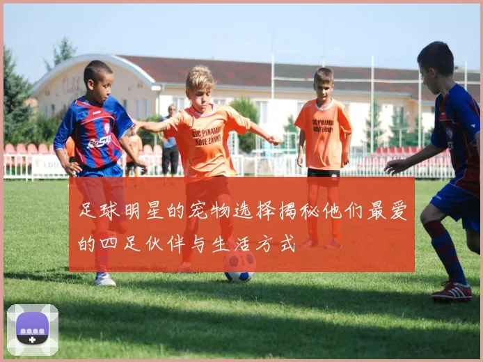 足球明星的宠物选择揭秘他们最爱的四足伙伴与生活方式