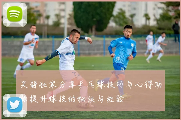 吴静独家分享乒乓球技巧与心得助你提升球技的秘诀与经验