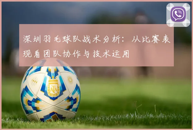 深圳羽毛球队战术分析：从比赛表现看团队协作与技术运用