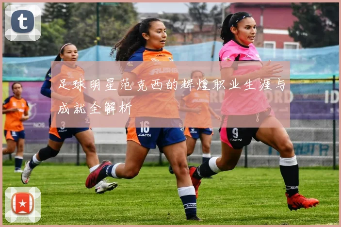 足球明星范克西的辉煌职业生涯与成就全解析