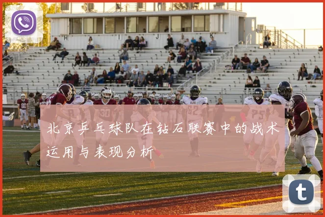 北京乒乓球队在钻石联赛中的战术运用与表现分析