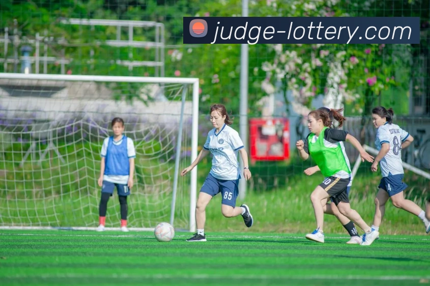 足彩平台生态图